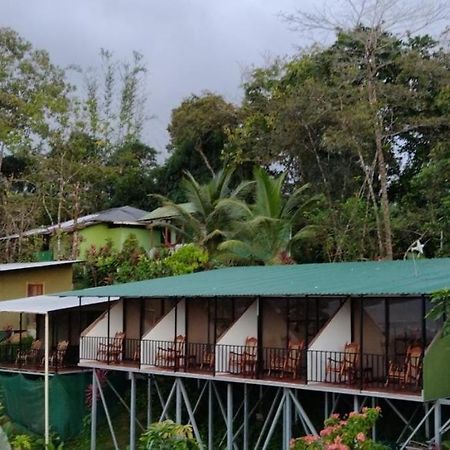 Hotel Cabinas Murillo Drake Bay Bagian luar foto