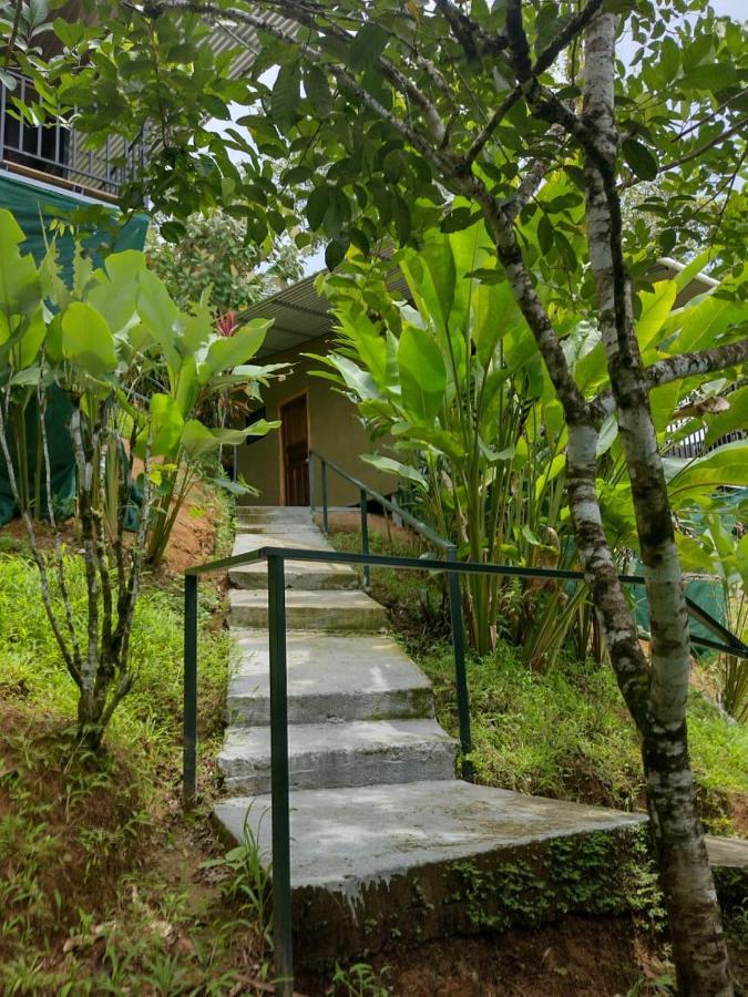 Hotel Cabinas Murillo Drake Bay Bagian luar foto