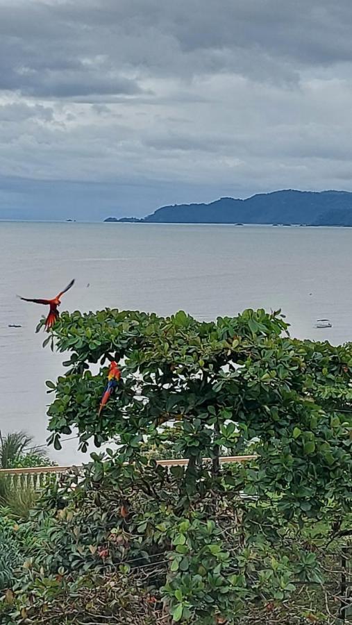 Hotel Cabinas Murillo Drake Bay Bagian luar foto